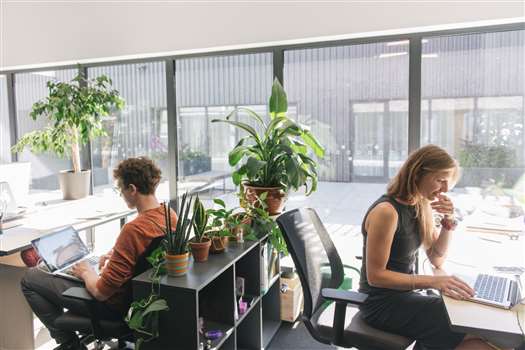 Open Office Concept - Pros And Cons Of An Open-Plan Workspace